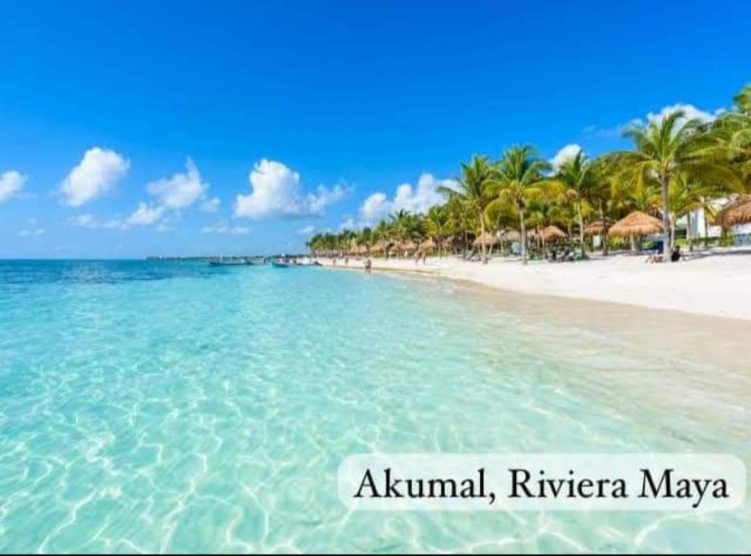 El Ultimo Maya Akumal Exteriér fotografie